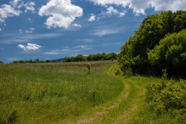 Yaz alan yol ve mavi gökyüzünde bulutlar ile.