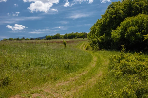 Yaz alan yol ve mavi gökyüzünde bulutlar ile.