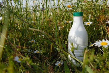 kopya alanı ile çim süt şişesi