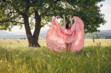 Güzellik romantik kız açık havada. Güzel genç Model alanında uzun pembe elbiseli güneşte ışık giyinmiş. Uzun saç üfleme. Sonbahar. Güneş, güneş parlıyor. Arkadan aydınlatmalı. Sıcak Renk tonlu