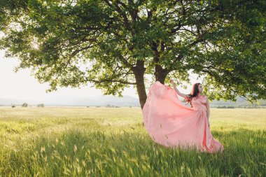 Güzellik romantik kız açık havada. Güzel genç Model alanında uzun pembe elbiseli güneşte ışık giyinmiş. Uzun saç üfleme. Sonbahar. Güneş, güneş parlıyor. Arkadan aydınlatmalı. Sıcak Renk tonlu