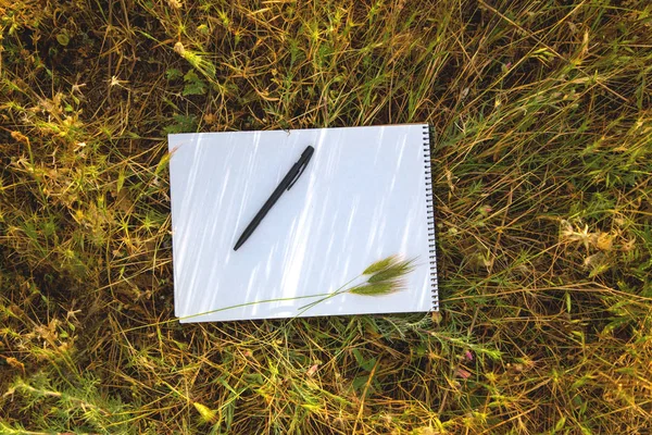 Cuaderno de notas sobre hierba verde primavera fresca en el campo — Foto de Stock