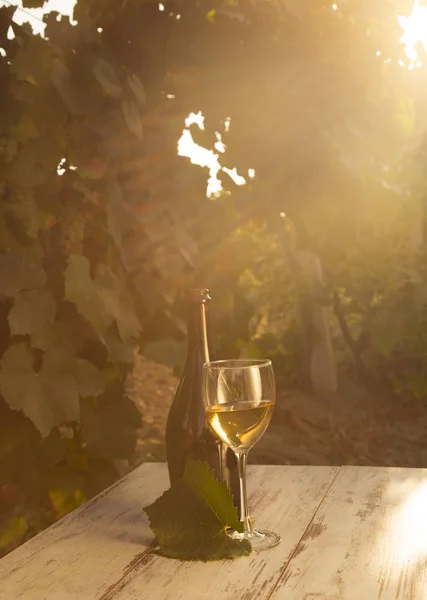 Bicchiere con vino bianco in vigna su vecchio tavolo. Vigneto al tramonto. Bicchiere di vino bianco, bottiglia di vino e uva bianca sul tavolo di legno con spazio copia — Foto Stock