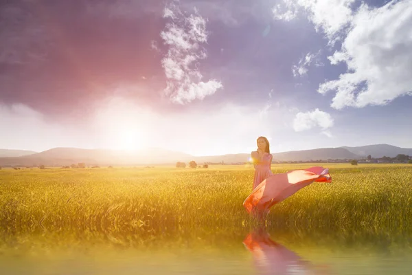 Bellezza ragazza romantica all'aperto. Bella modella adolescente vestita in abito rosa lungo sul campo in luce del sole. Capelli Lunghi che soffiano. Autunno. Sole splendente, raggio di sole. Retroilluminato. Tonica nei colori caldi — Foto Stock