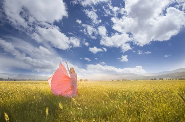 Bellezza ragazza romantica all'aperto. Bella modella adolescente vestita in abito rosa lungo sul campo in luce del sole. Capelli Lunghi che soffiano. Autunno. Sole splendente, raggio di sole. Retroilluminato. Tonica nei colori caldi — Foto Stock