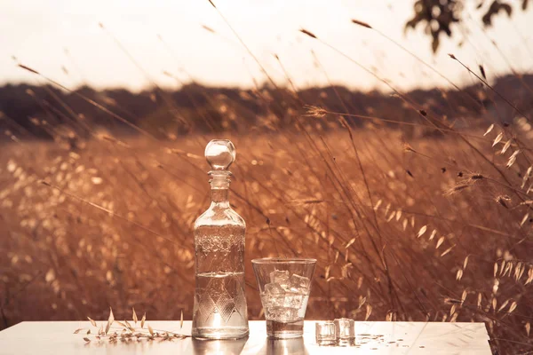 Ett glas med is och solnedgång på savannah — Stockfoto