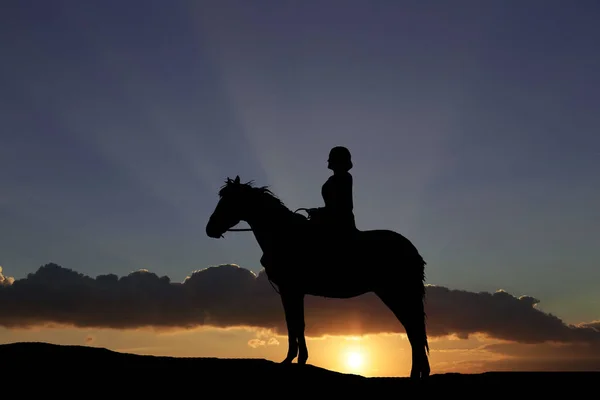Silueta koně a dívky na pozadí krásný západ slunce — Stock fotografie