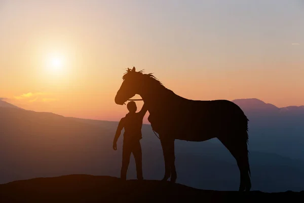 Silhueta de um menino acariciando um cavalo no fundo de um belo pôr do sol — Fotografia de Stock