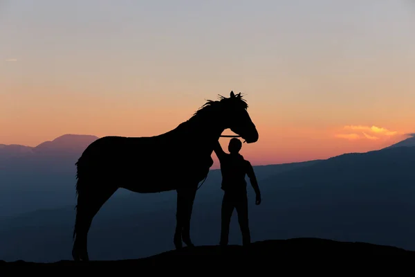 Silhouette of a boy petting a horse on the background of a beautiful sunset — Stock Photo, Image