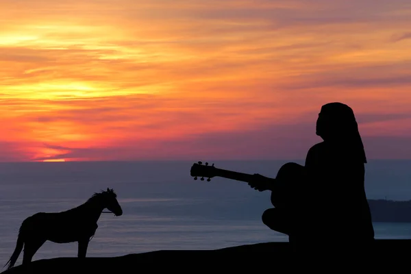 Silhouet van een paard loopt door de zee en een meisje speelt gitaar op een achtergrond van een prachtige zonsondergang — Stockfoto