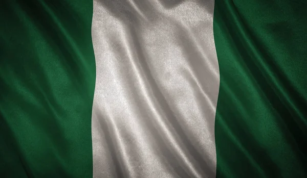 Flag of the Nigeria — Stock Photo, Image