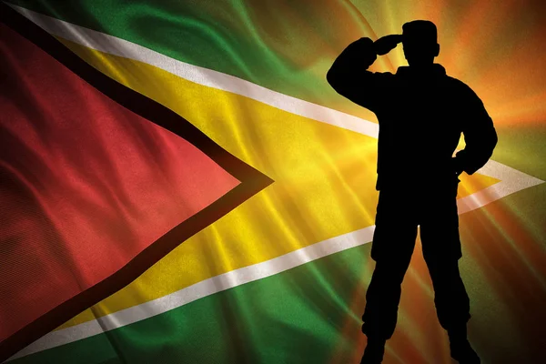 Flag of Guyana — Stock Photo, Image