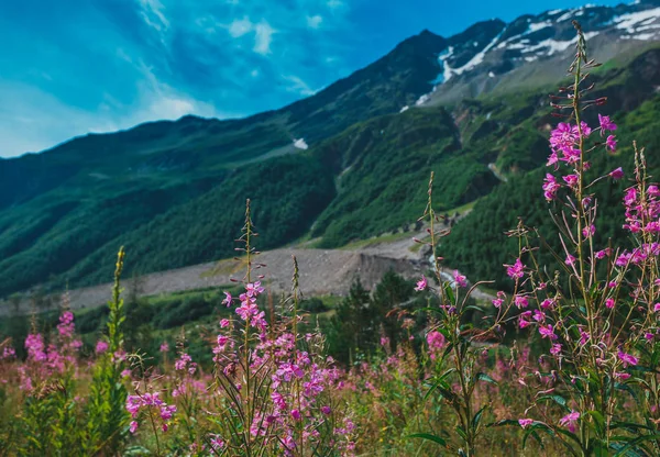 Эльбрус, горы летом. Горы Большого Кавказа с Эльбруса — стоковое фото