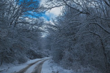 Kışın kar altında yüksek dağlar