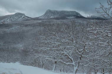 Kışın kar altında yüksek dağlar