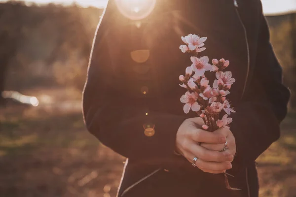 Hermoso melocotón floreciente. Fondo con flores en un día de primavera, puesta de sol — Foto de Stock