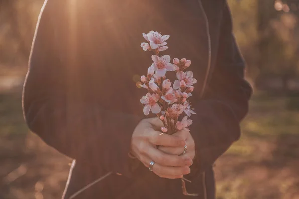 Hermoso melocotón floreciente. Fondo con flores en un día de primavera, puesta de sol — Foto de Stock