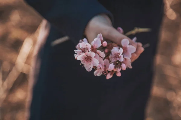 Hermoso melocotón floreciente. Fondo con flores en un día de primavera, puesta de sol — Foto de Stock