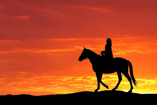 Silhueta ou mulher e cavalo correndo através do horizonte enquanto o sol se põe. — Fotografia de Stock