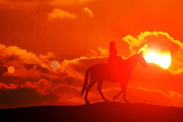 Silhueta ou mulher e cavalo correndo através do horizonte enquanto o sol se põe. — Fotografia de Stock