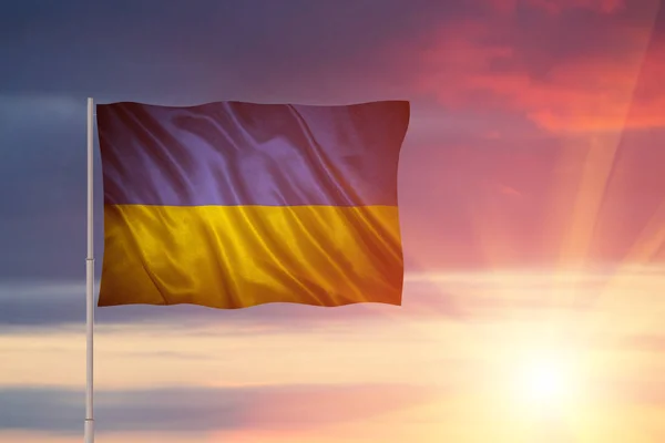 Ukrajna zászlaja — Stock Fotó