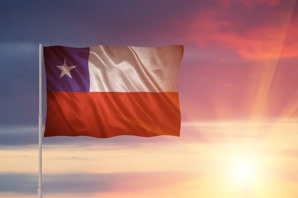 Şili Bayrağı — Stok fotoğraf