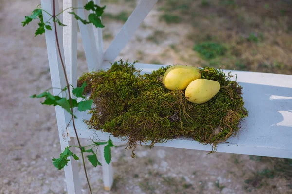 Wedding decor. Wedding on a plate green background and a mountains. Wedding decorations, pears and moss. Tints of green and yellow