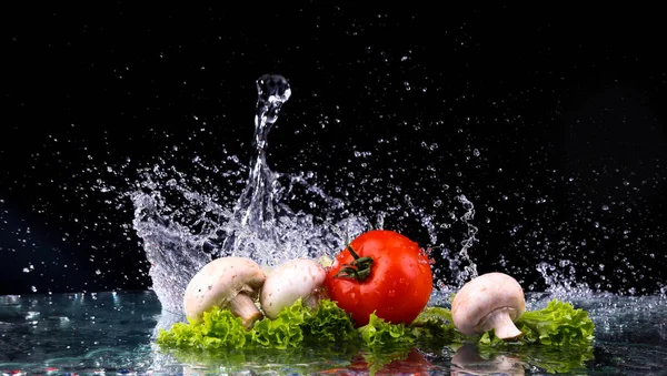Červené rajče cherry, houby a čerstvý salát s vodou drop splash s kopií prostor — Stock fotografie