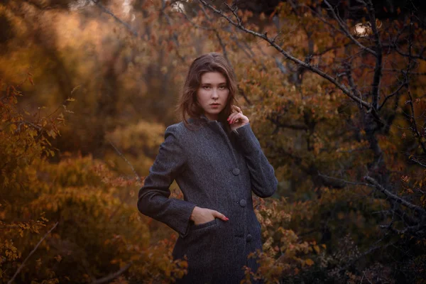 Ásia menina no casaco desfrutar outono floresta . — Fotografia de Stock