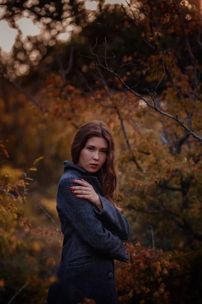 Ásia menina no casaco desfrutar outono floresta . — Fotografia de Stock