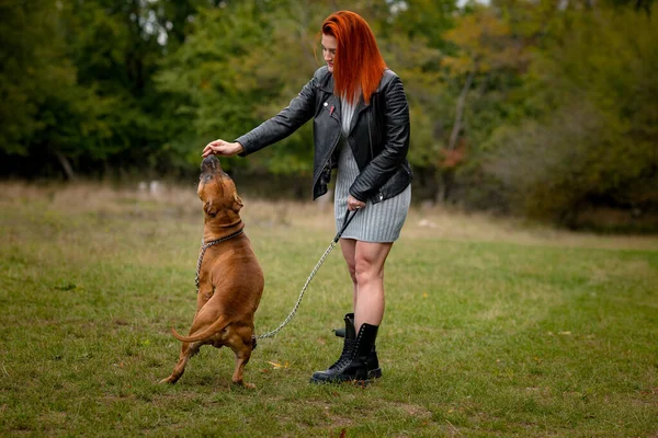 Beautiful woman and her dog in fall park