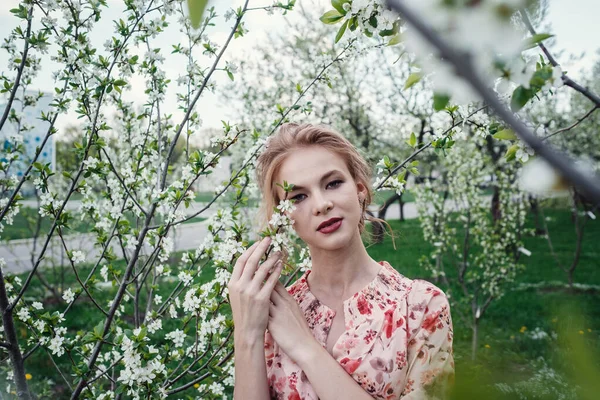 Молодая красивая женщина в саду цветущей вишни . — стоковое фото