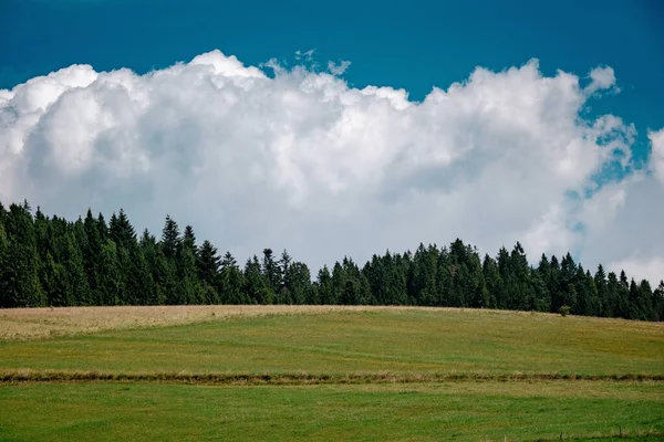 Mavi gökyüzü konsepti ile çayır manzara manzara.