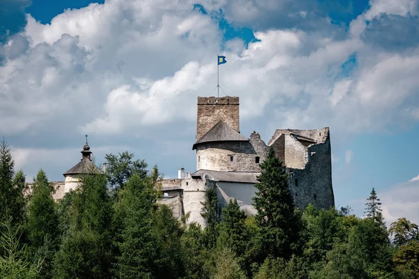 Beau vieux château sur un rocher au-dessus de la rivière . — Photo