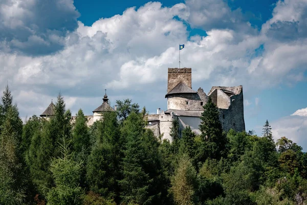 Prachtig oud kasteel op een rots boven de rivier. — Stockfoto