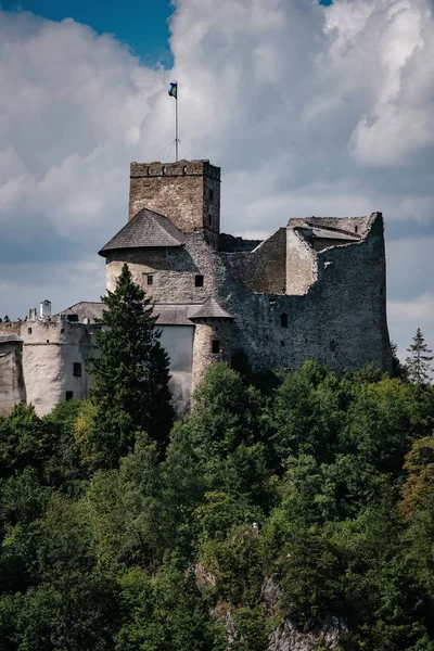 Beau vieux château sur un rocher au-dessus de la rivière . — Photo