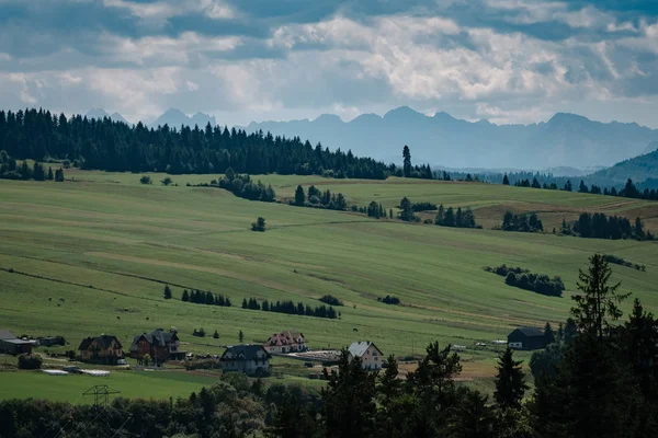 Paysage de prairie paysage avec ciel bleu concept . — Photo