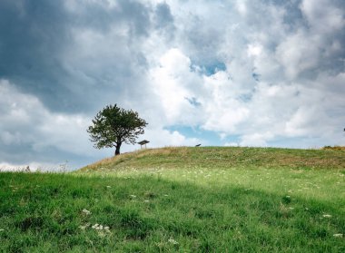 Road in mountain valley at sunny morning in Poland. View with asphalt roadway, meadows with green grass, mountains, blue sky with clouds and sun. Highway in fields. Trip in europe. Travel
