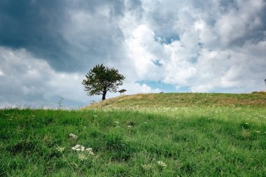Road in mountain valley at sunny morning in Poland. View with asphalt roadway, meadows with green grass, mountains, blue sky with clouds and sun. Highway in fields. Trip in europe. Travel