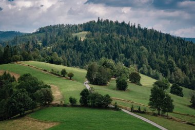 Road in mountain valley at sunny morning in Poland. View with asphalt roadway, meadows with green grass, mountains, blue sky with clouds and sun. Highway in fields. Trip in europe. Travel