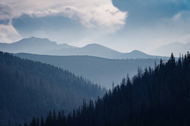 İnanılmaz doğa, dağlarda yaz mevsimi. Seyahat et ve yürü.