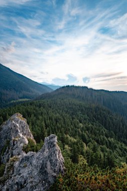 İnanılmaz doğa, dağlarda yaz mevsimi. Seyahat et ve yürü.