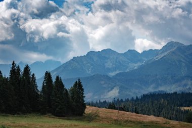 Ormanlı dağ yamacında, alçak bulutlar altında ebediyete kadar yeşil