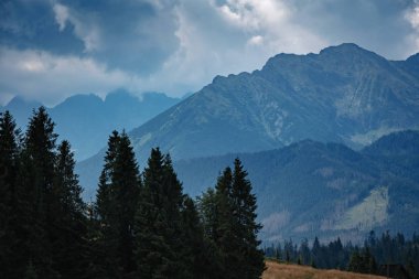 Ormanlı dağ yamacında, alçak bulutlar altında ebediyete kadar yeşil