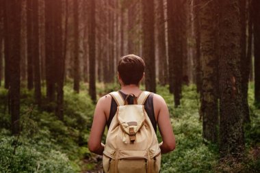 Closeup portrait of young hiker hiking, looking up at trees.