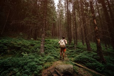 Closeup portrait of young hiker hiking, looking up at trees.