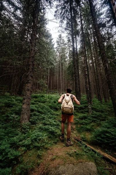 Closeup portrait of young hiker hiking, looking up at trees. — 스톡 사진