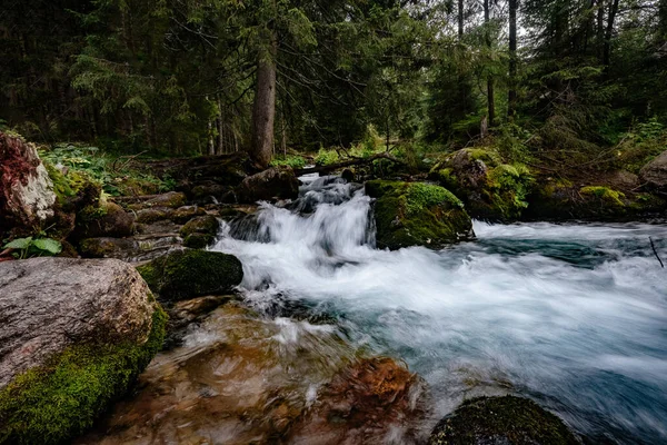 Hegyi patak a Magas-Tátra Nemzeti Park, Lengyelország — Stock Fotó