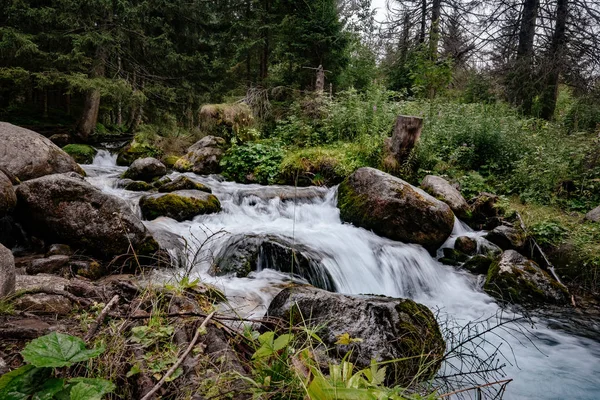 Гірський потік у національному парку Високі Татри (Польща). — стокове фото