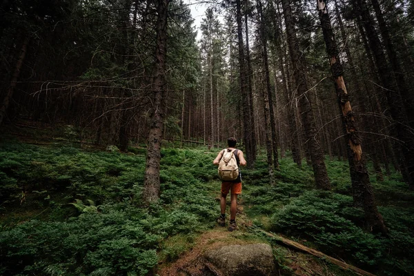 Portrait rapproché de jeunes randonneurs, regardant les arbres . — Photo